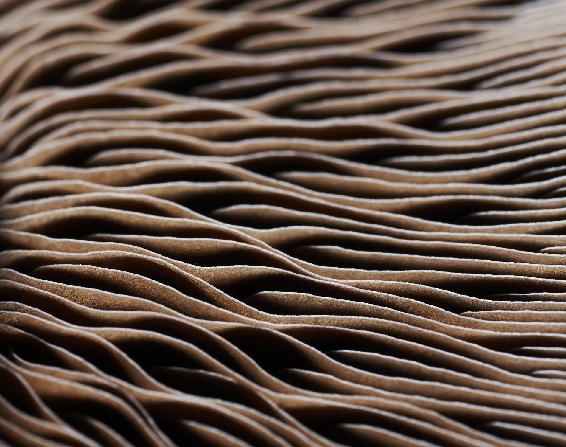 /-/media/images/website/background-images/gpof/patterns/istock-1036367134.ashx